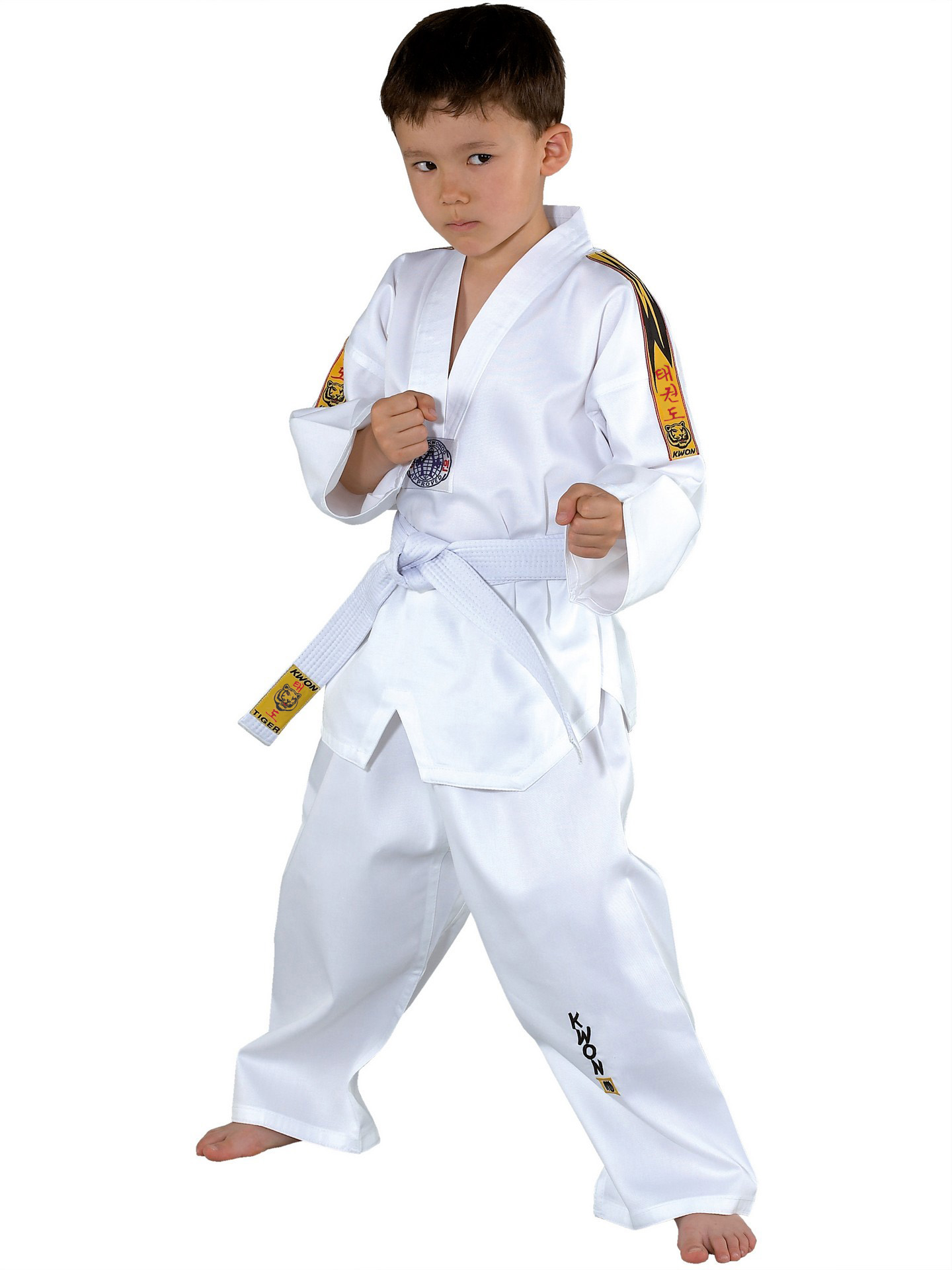 Taekwondo Anzug Tiger