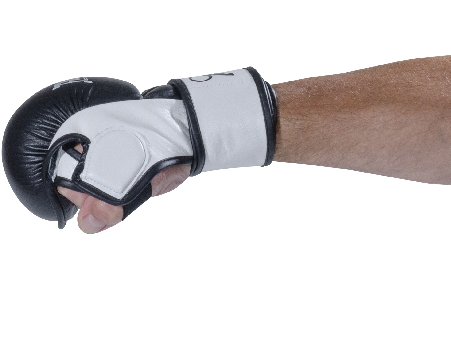 FIGHTNATURE MMA Handschuhe Sparring Leder